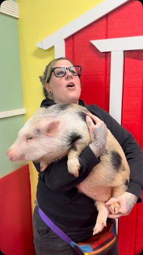 Video post from njexoticpets.