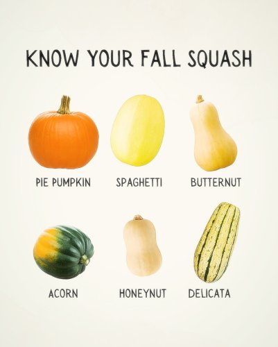 Photo post from farmbox_arizona.