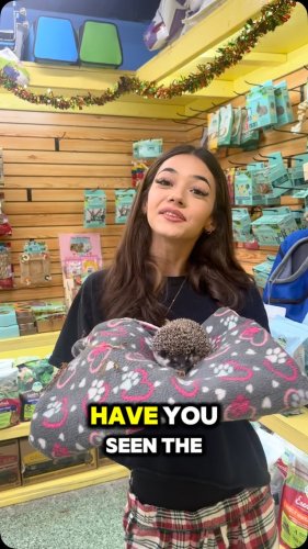 Video post from njexoticpets.