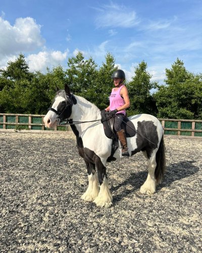 Photo post from mbddressage.