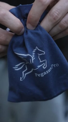 Video post from pegasus.pro.