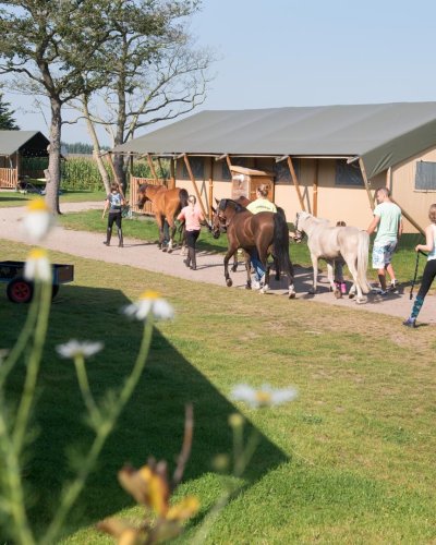 Carousel post from glampings.