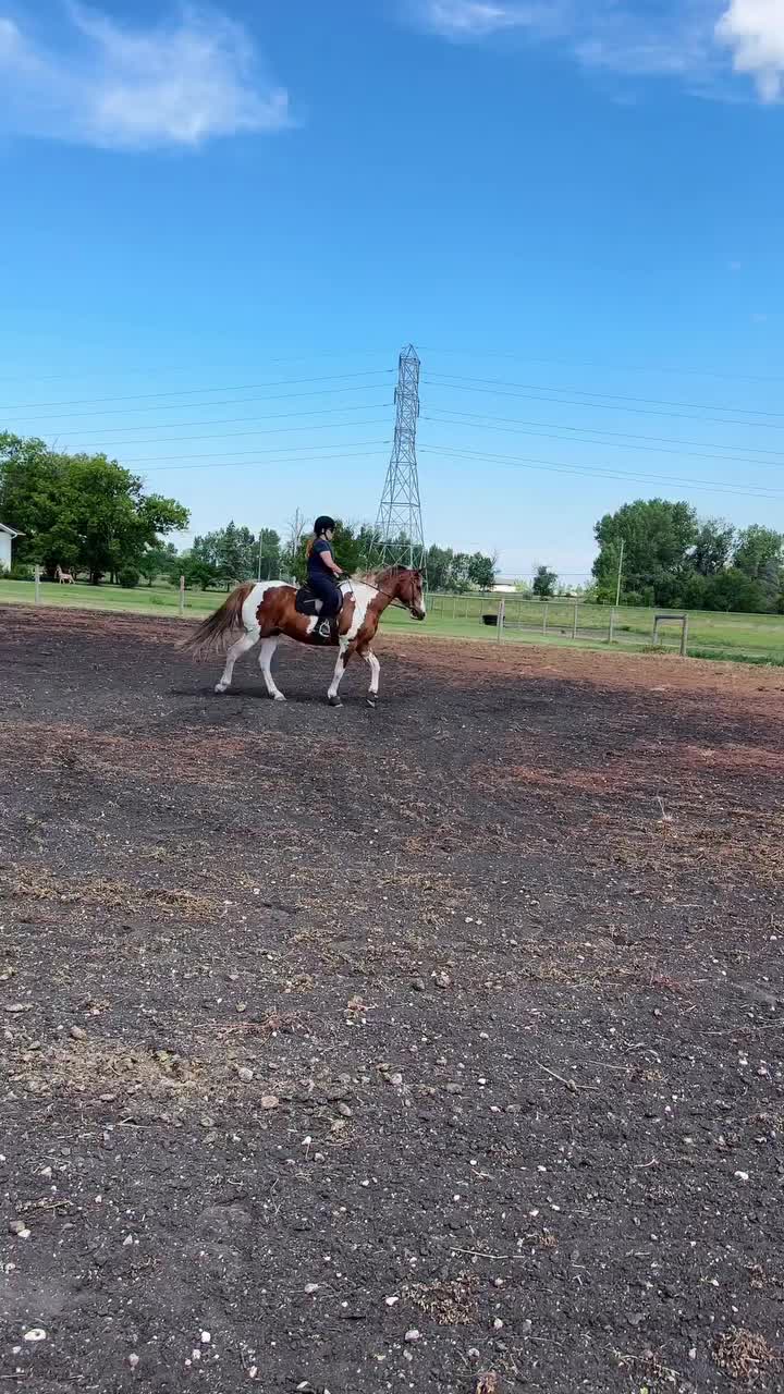 Video post from sam.montgomery14.