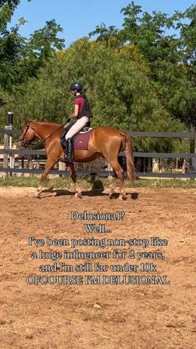 Video post from sara.c_horses.