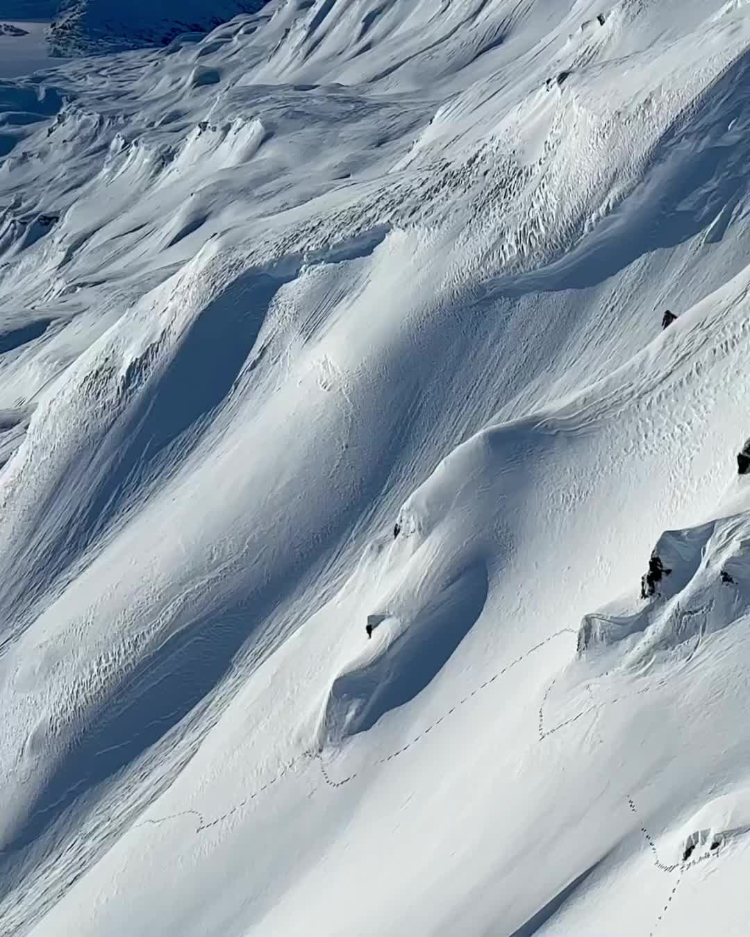 Lib Tech 2024-2025 | Snowboards, Skis, Surfboards, Wakesurf