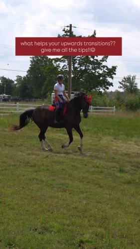 Video post from riding.with.sienna.