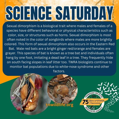 Photo post from tnwildliferesourcesagency.