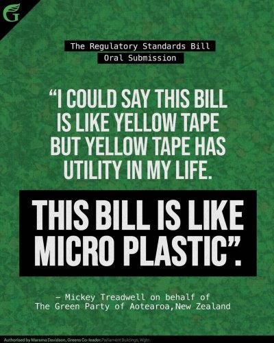 Photo post from nzgreenparty.