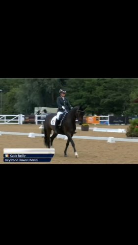 Video post from para_equestrian_ireland.