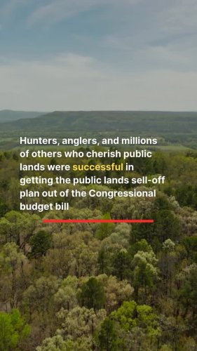 Video post from nwfoutdoors.
