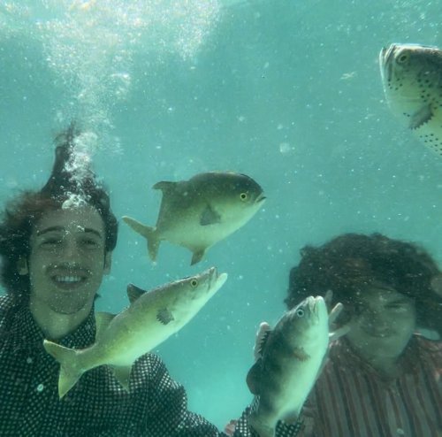 Photo post from mellow.toad.