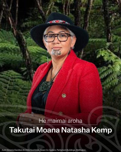 Photo post from nzgreenparty.