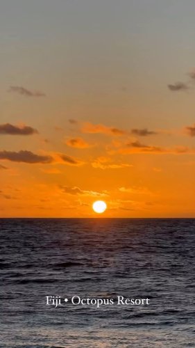 Video post from octopusresort.