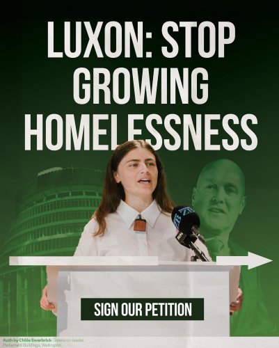 Carousel post from nzgreenparty.