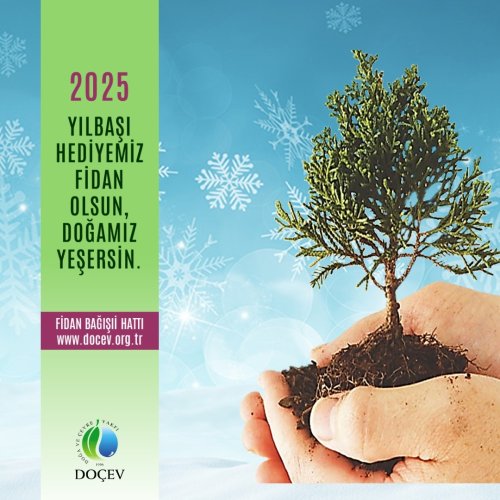 Photo post from dogavecevrevakfi.