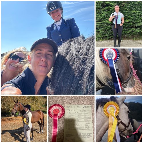 Photo post from mbddressage.