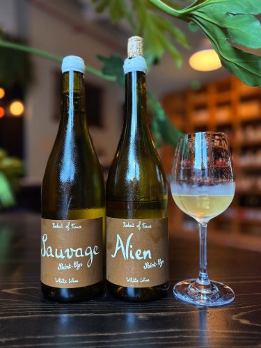 Photo post from dandywineshop.
