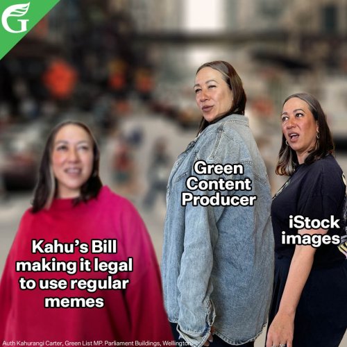 Carousel post from nzgreenparty.