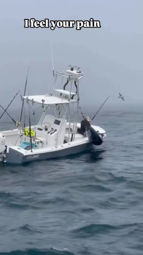 Video post from ejs_fishing_charters.