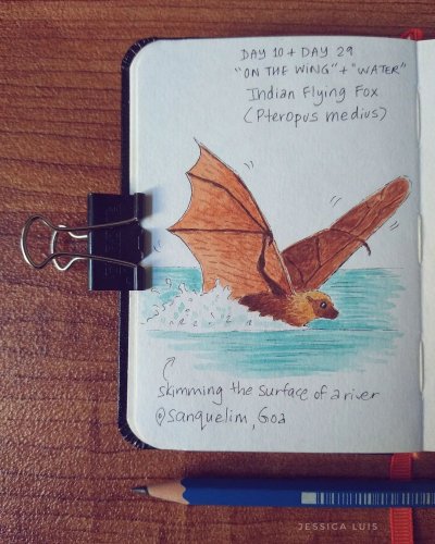 Photo post from jessluisdraws.