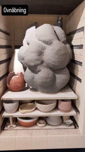 Video post from claymakers.royal.