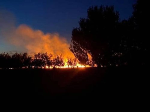 Photo post from sremskatelevizija.