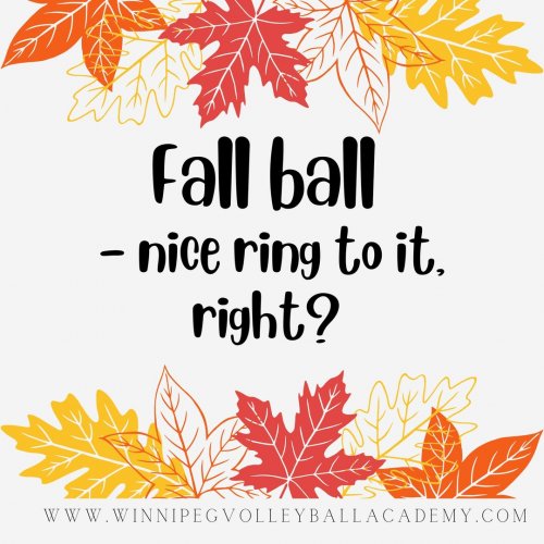 Carousel post from blazersvolleyballacademy.