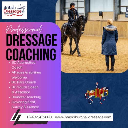 Photo post from mbddressage.