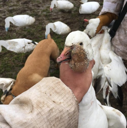 Photo post from northernskiesoutfitters.