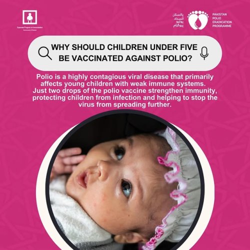 Video post from pakfightspolio.