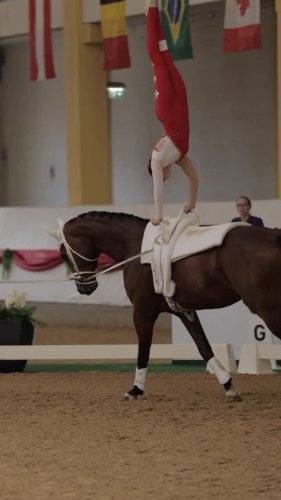 Video post from fei_global.