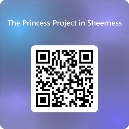 Photo post from princessprojectuk.