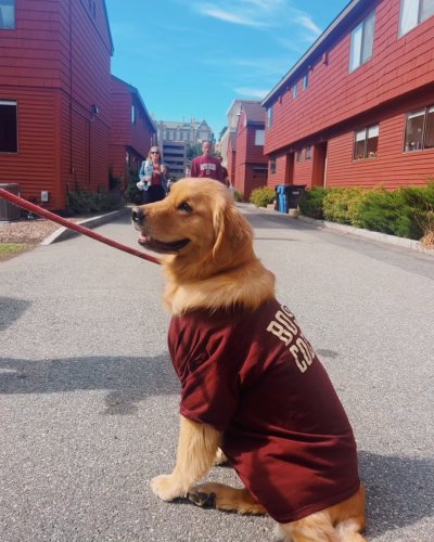 Photo post from bostoncollege.
