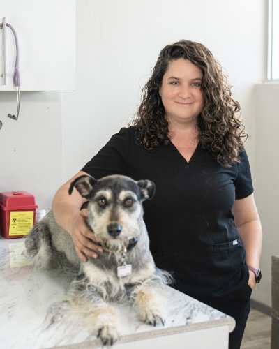 Photo post from medicalpettj.