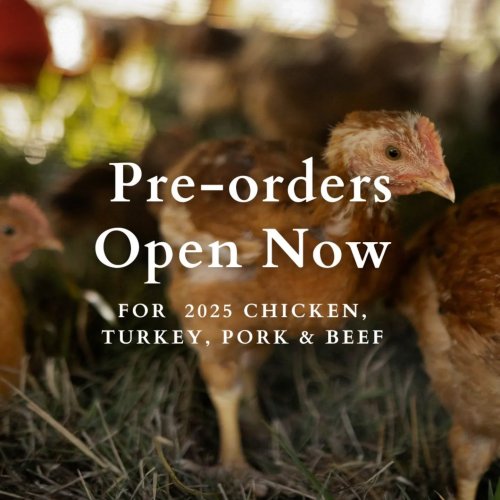 Photo post from hungryhollowfarm.