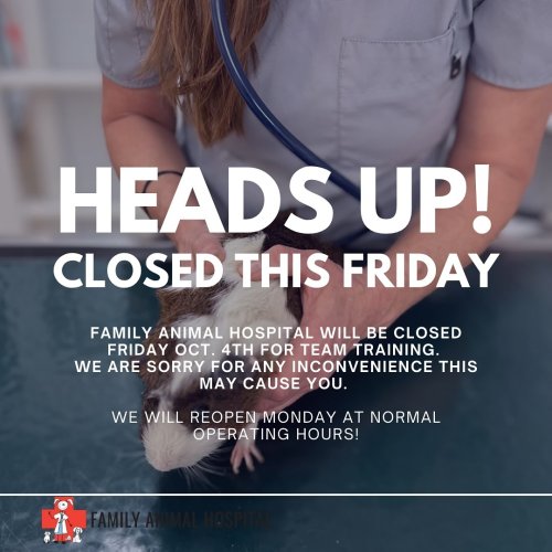 Photo post from familyanimalhospitalcm.