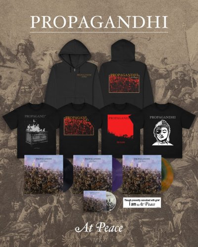 Photo post from kingsroadmerch.