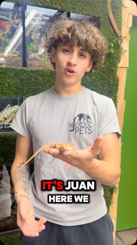 Video post from njexoticpets.
