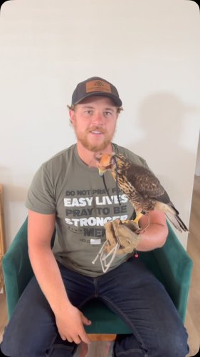 Video post from desertkingsfalconry.