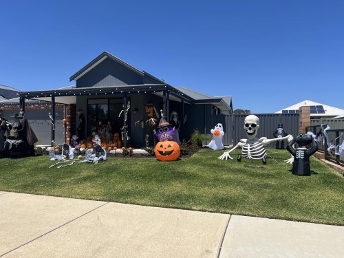 Photo post from k9playtimedoggydaycare.