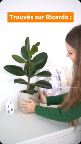 Video post from ricardo_ch.fr.