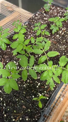 Video post from rouses_horticulture.