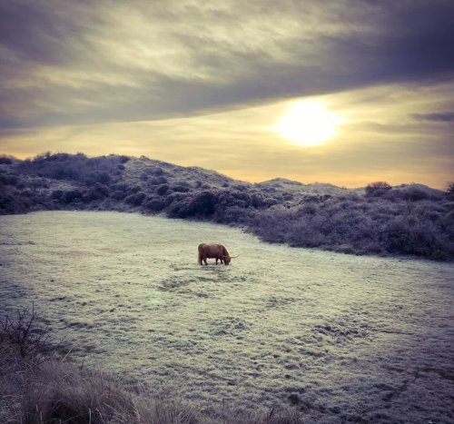 Photo post from ditiskatwijk.