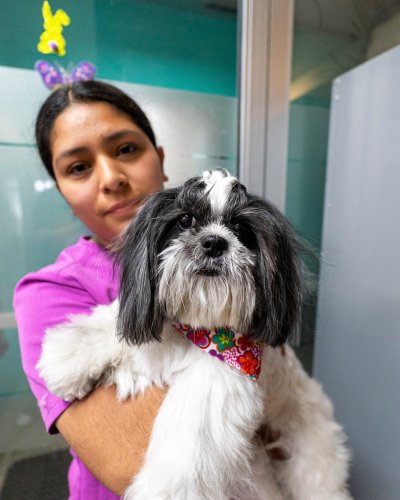 Photo post from medicalpettj.