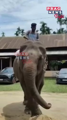 Video post from pragnewsofficial.