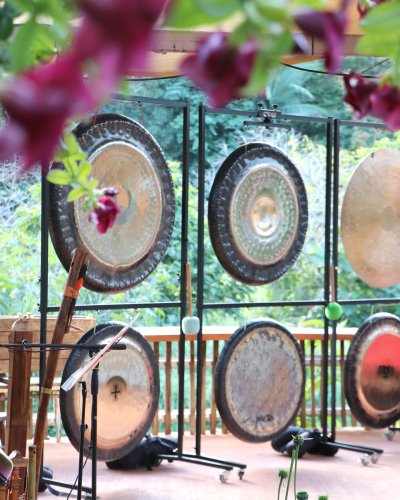 Photo post from currumbinvalleyharvest.