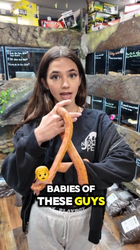 Video post from njexoticpets.