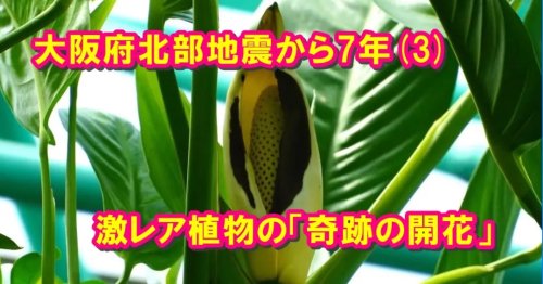 Photo post from nmomose.
