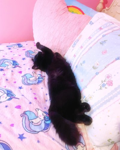 Photo post from margaritabloom.