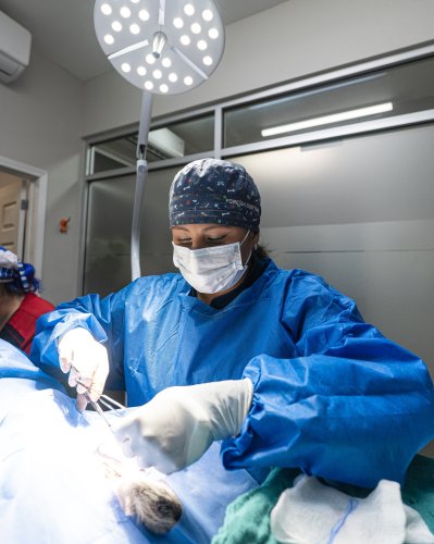 Carousel post from medicalpettj.